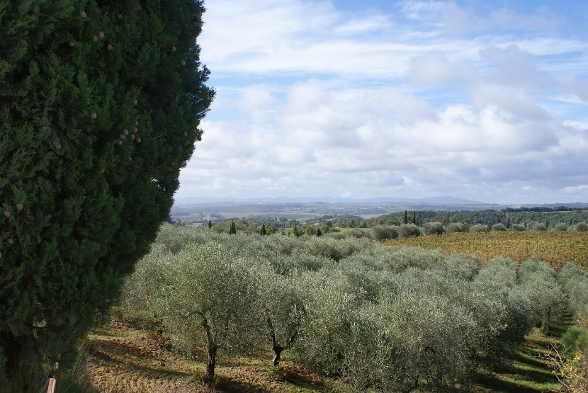 Chianti-2 2016 - 110
